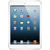 Apple iPad mini 16Gb Wi-Fi + Cellular белый - Кировск